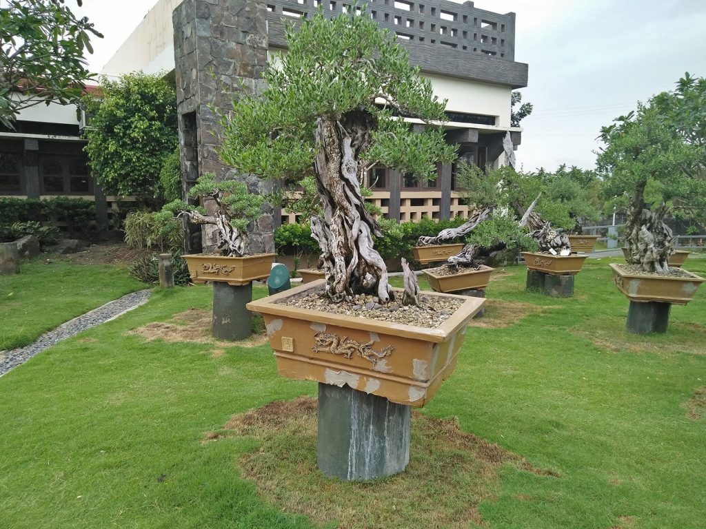 Resorts Negrense3