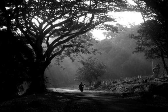 A shot taken by the author of Bukit Brown Cemetery in Singapore where he attended a journalism fellowship in 2012. | Photo by Julius D. Mariveles whump