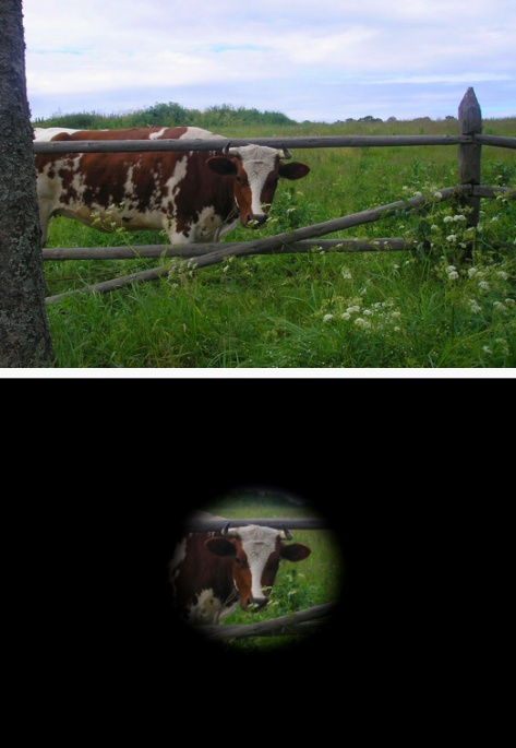 A depiction of tunnel vision.