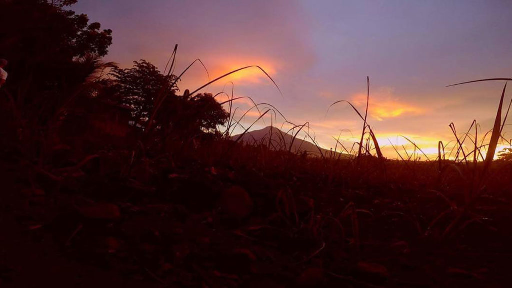 Morning breaks over Mt. Kanlaon in this shot with newly-planted sugarcane in the foreground taken from the town of La Castellana. | Photo by Julius D. Mariveles